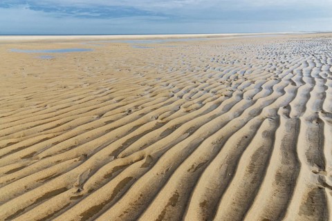 Beach at low tide