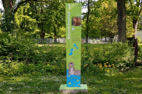 Beaver Trail