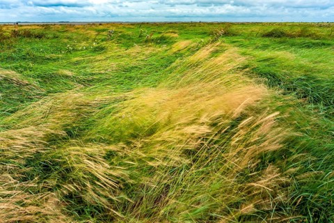North Sea beach Hilgenriedersiel