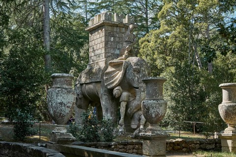 Elephant fighting with soldier