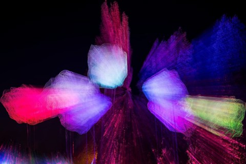 Autumn Lights in the Bridgehead Park