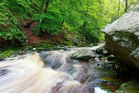 Stream course of the Hoegne