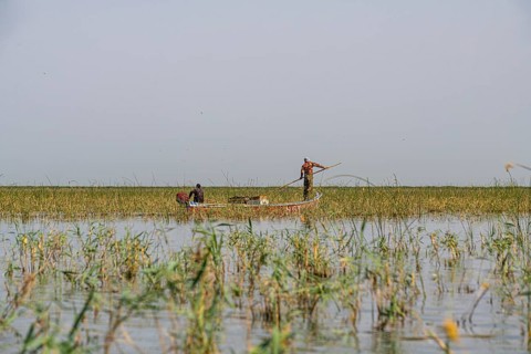 Little boat in the Mesopotamian Marshes