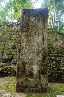 Unesco world heritage site Calakmul