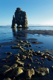 Hvitserkur
