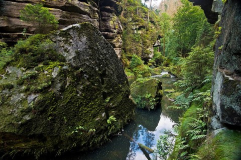 Edmundsklamm with river Kamenice