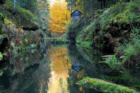 Autumn in the Edmundsklamm gorge with the river Kamenice
