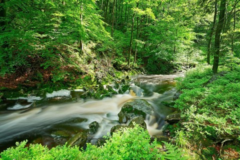 Stream course of the Hoegne