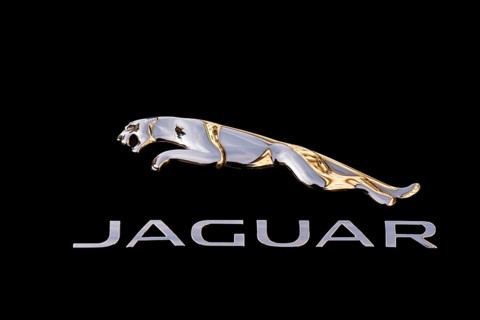 Juguar radiator mascot on a car