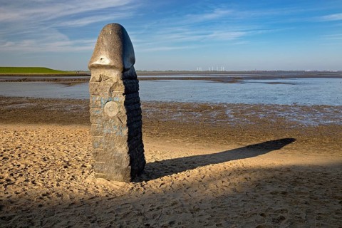 Stone penis