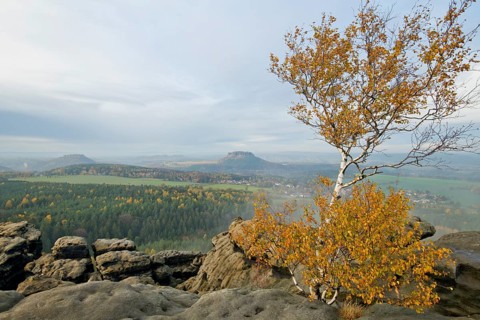 Autumn landscape