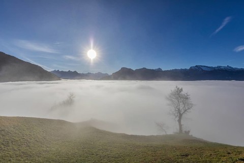 Sea of fog over the Vitznau region