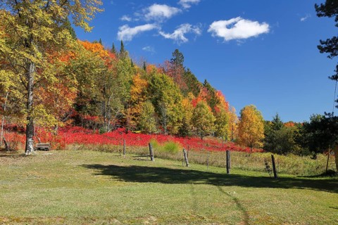 Autumn landscape in the Red River Region