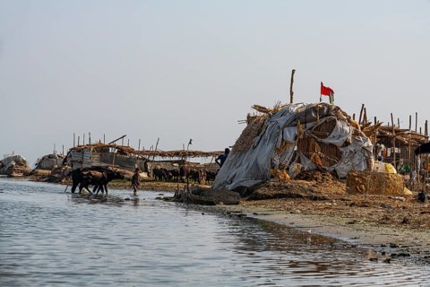 Reed house of Marsh Arabs