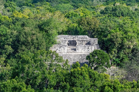 Unesco world heritage site Calakmul