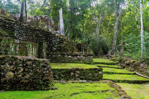 Unesco world heritage site Calakmul