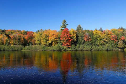 Red River in Autumn