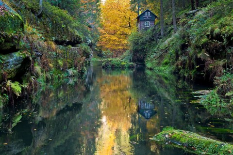 Autumn in the Edmundsklamm gorge with the river Kamenice