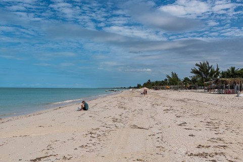 White sand beach in the Rio Celestun Unesco Biosphere Reserve