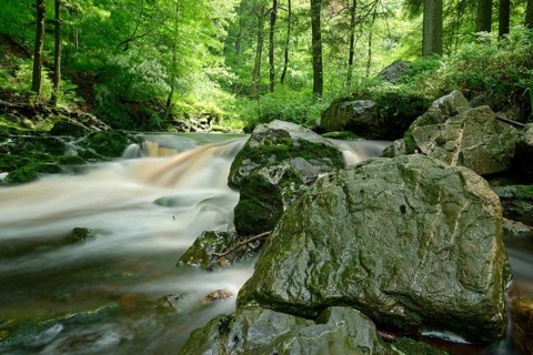 Stream course of the Hoegne