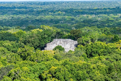 Unesco world heritage site Calakmul