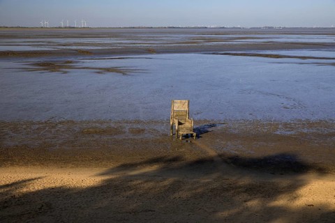 Emperor's throne with the title Emperor Butjatha in the mudflats