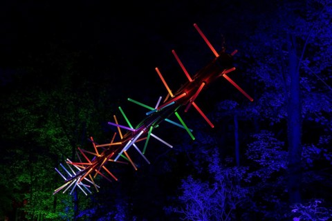 Autumn Lights in the Bridgehead Park