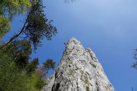 Climbing