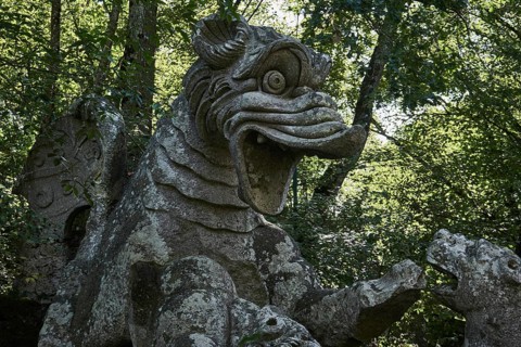 Dragon fighting with lion