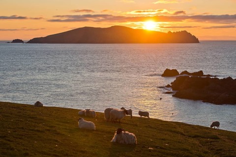 Sunset on the Great Blasket Islands