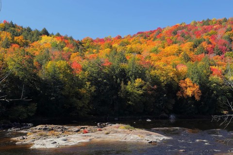Red River in Autumn