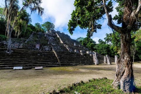 Unesco world heritage site Calakmul