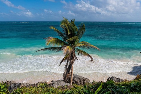 Pre-Columbian Mayan walled city Tulum