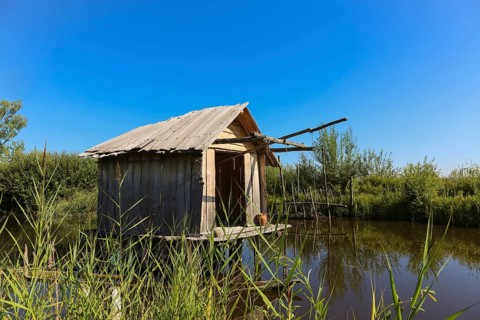 Federsee lake Museum