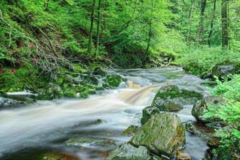 Stream course of the Hoegne
