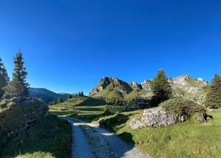 Hiking trail marking on a stone at Seebergsee