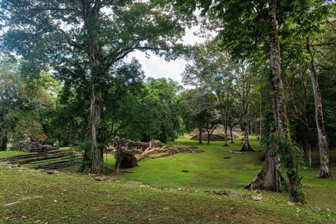 Archeological Maya site Yaxchilan in the jungle of Chiapas