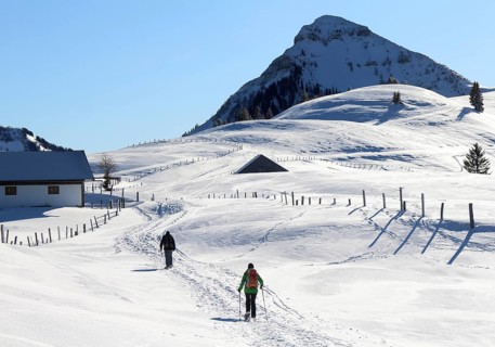 Snowshoe tour in wintry mountain landscape in fantastic weather