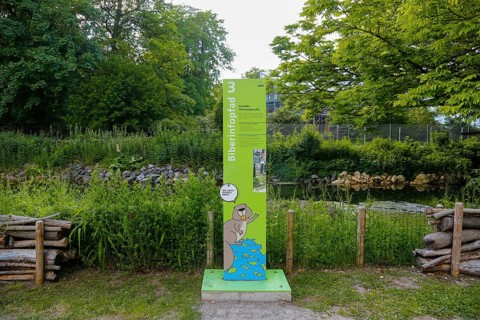 Beaver Trail