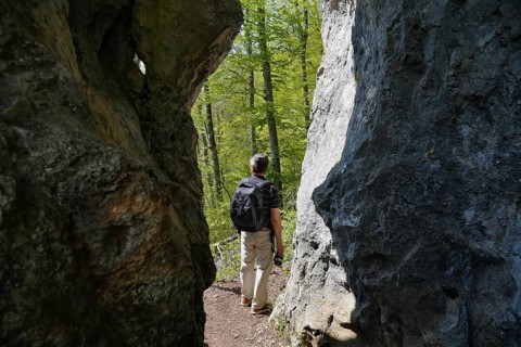 Rock labyrinth Blaubeuren