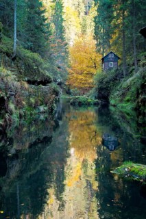 Autumn in the Edmundsklamm gorge with the river Kamenice