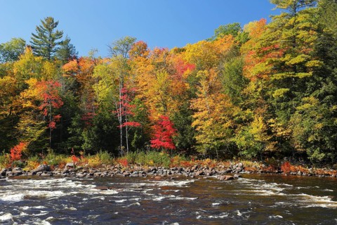 Red River in Autumn