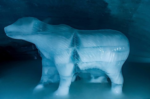 Phantasy sculptures in the Glacierworld