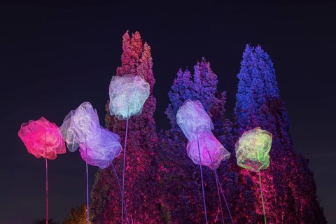 Autumn Lights in the Bridgehead Park