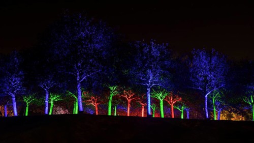 Autumn Lights in the Bridgehead Park