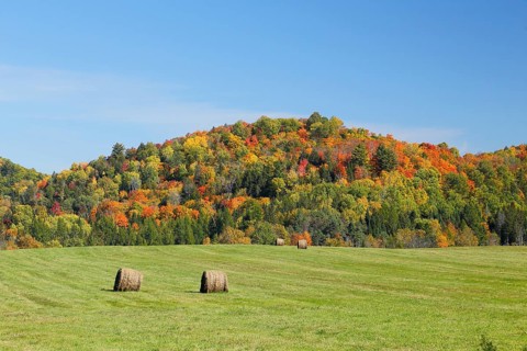 Autumn landscape in the Red River Region