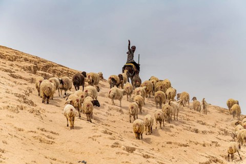 Shepherd with his sheeps