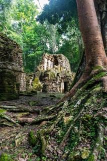 Archeological Maya site Yaxchilan in the jungle of Chiapas