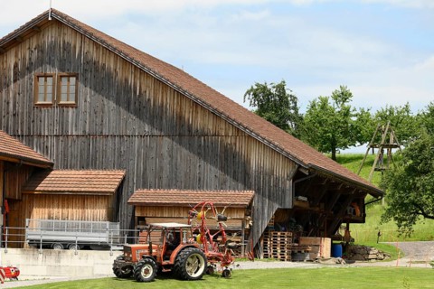 Fiat tractor with roundabout tedder in front of stable building
