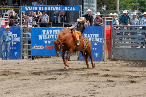 Rodeo competition